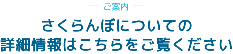さくらんぼについての詳細情報はこちらをご覧ください